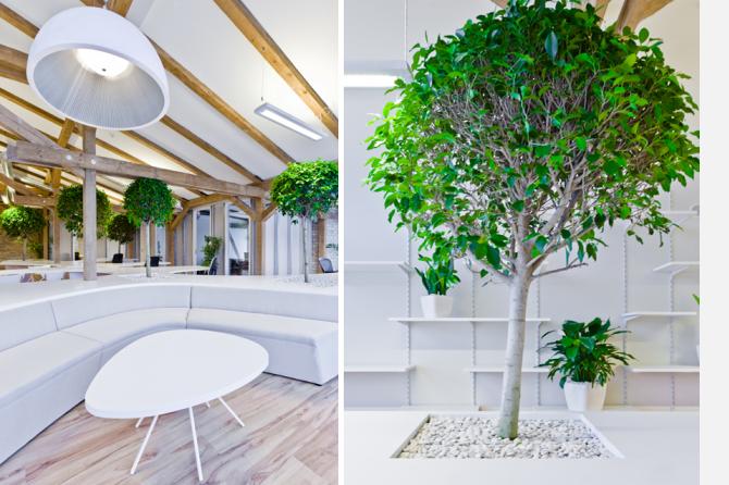 Greenhouse 辦公室裝修設(shè)計-第9張圖片-上海古都建筑設(shè)計集團(tuán)