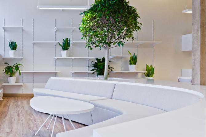 Greenhouse 辦公室裝修設(shè)計-第13張圖片-上海古都建筑設(shè)計集團(tuán)